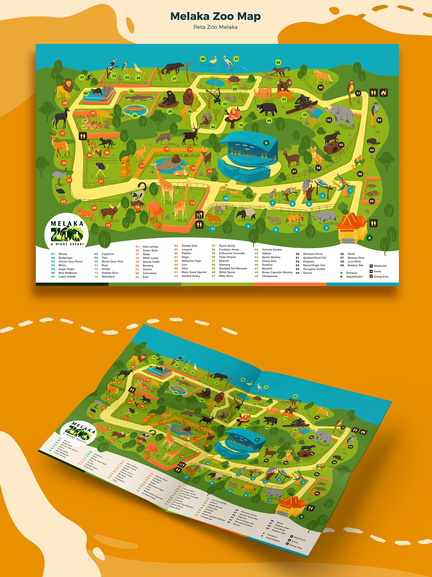Zoo Melacca S Map Illustration Studio Behind 90